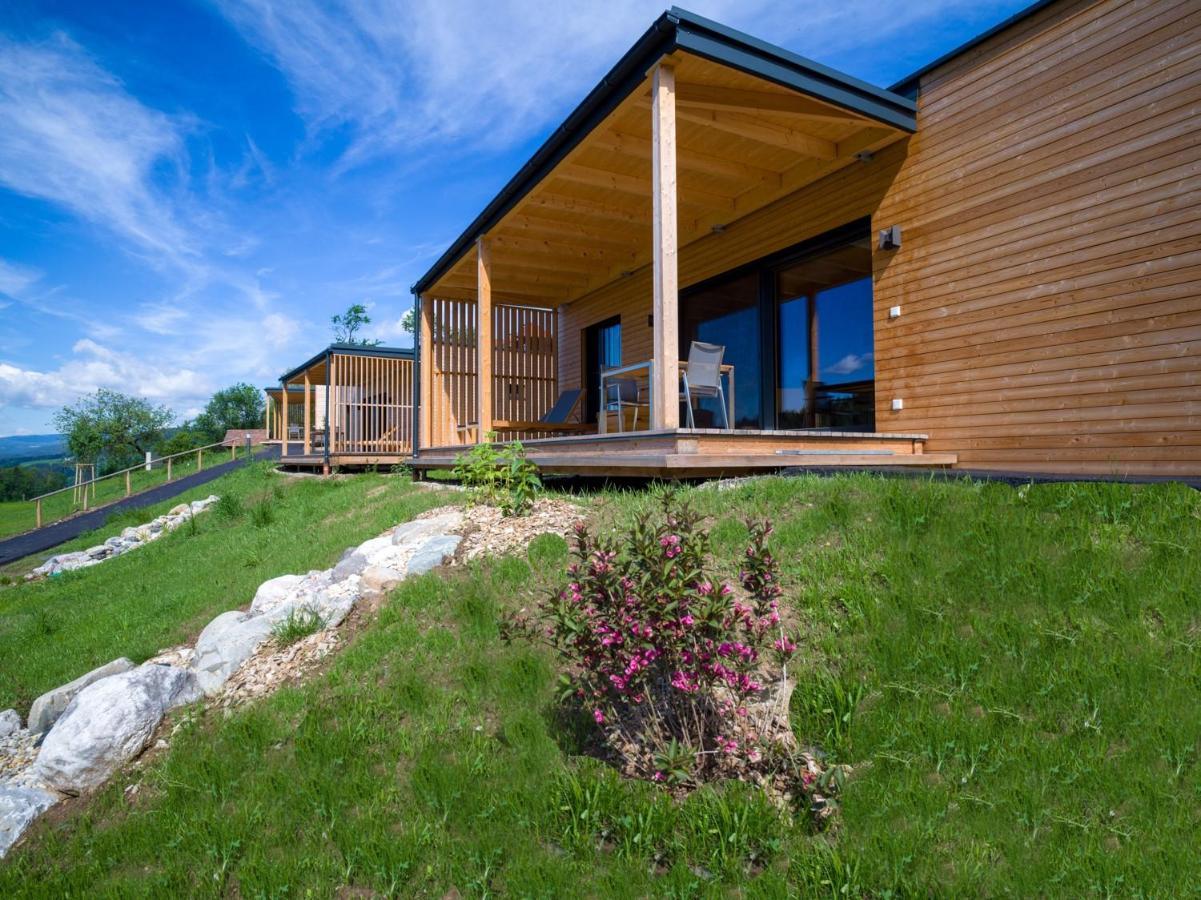 Wiesenquartier I Chalet I Adults Only Langenwang Екстериор снимка