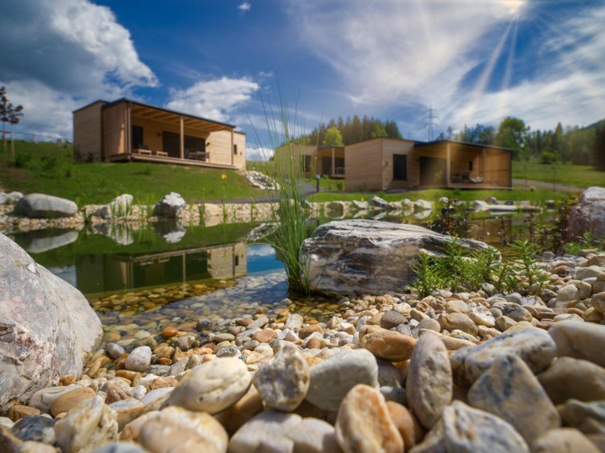 Wiesenquartier I Chalet I Adults Only Langenwang Екстериор снимка