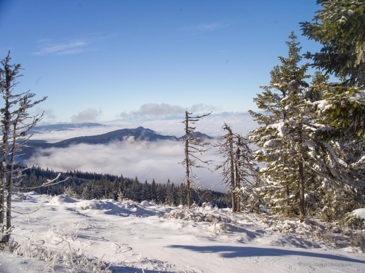 Wiesenquartier I Chalet I Adults Only Langenwang Екстериор снимка